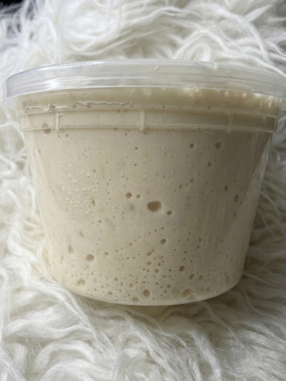 Sourdough Starter (4 Months Old) – $10 Each or 2 for $15 🥖 - Picture 7 of 14